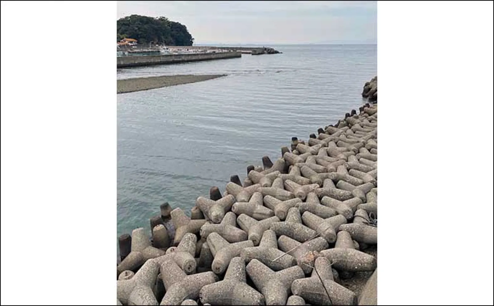 大阪湾「泉南」エリアの釣り場紹介 【地形の特徴と釣れる魚種を解説】