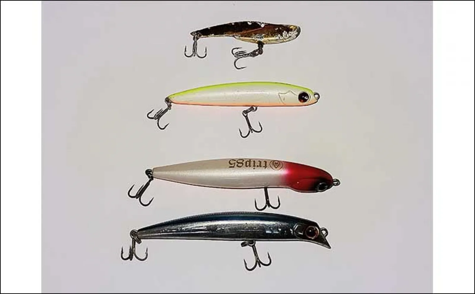 シーバスフィッシングの基本【明暗の釣り】を攻略 キモは『スクリーン効果』