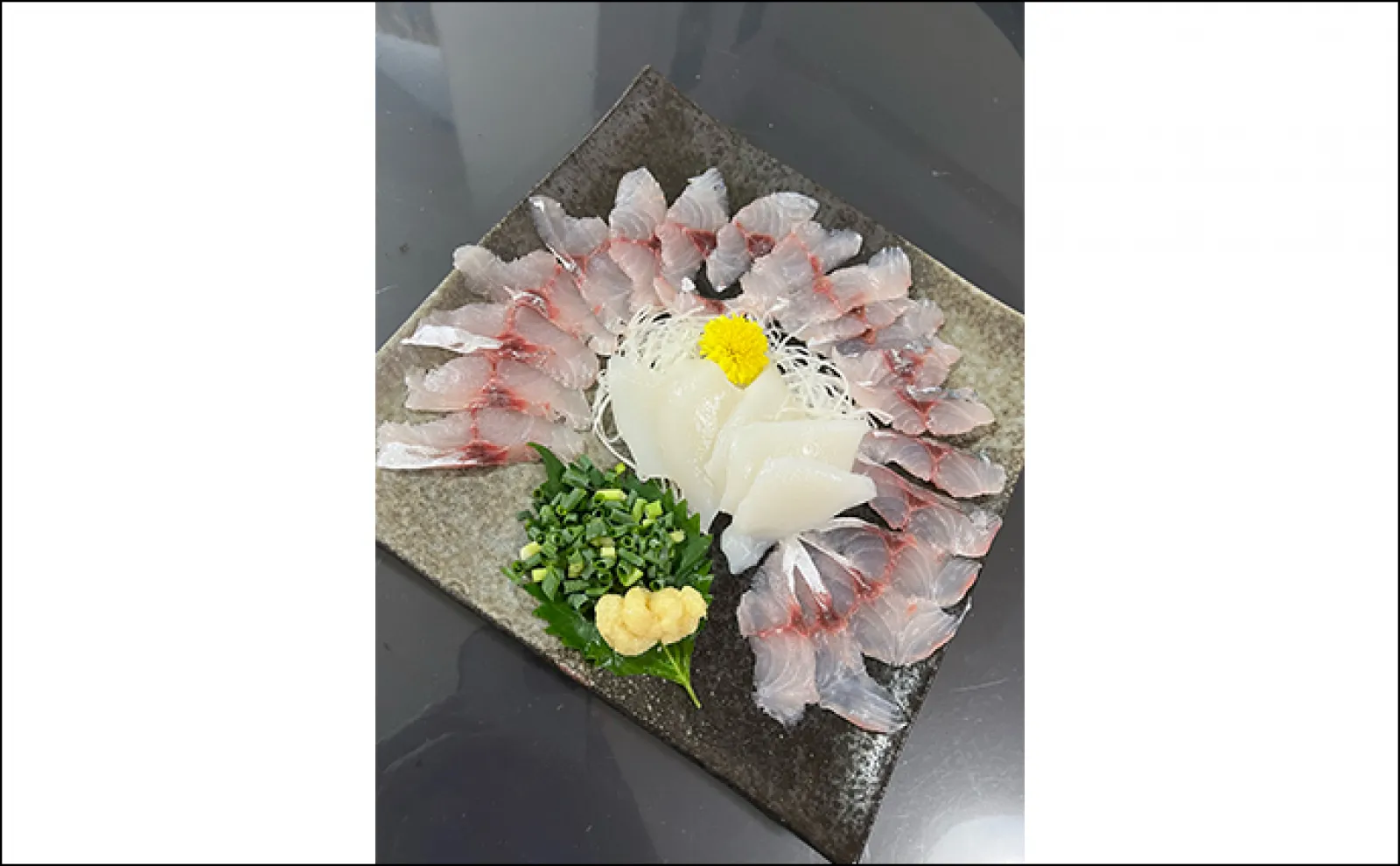 伊万里湾バチコンアジング釣行で32cm良型アジをキャッチ【佐賀・きずなまりん】