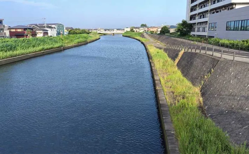 陸っぱりシーバスフィッシングは【下見が命】　確認ポイントと注意点を解説