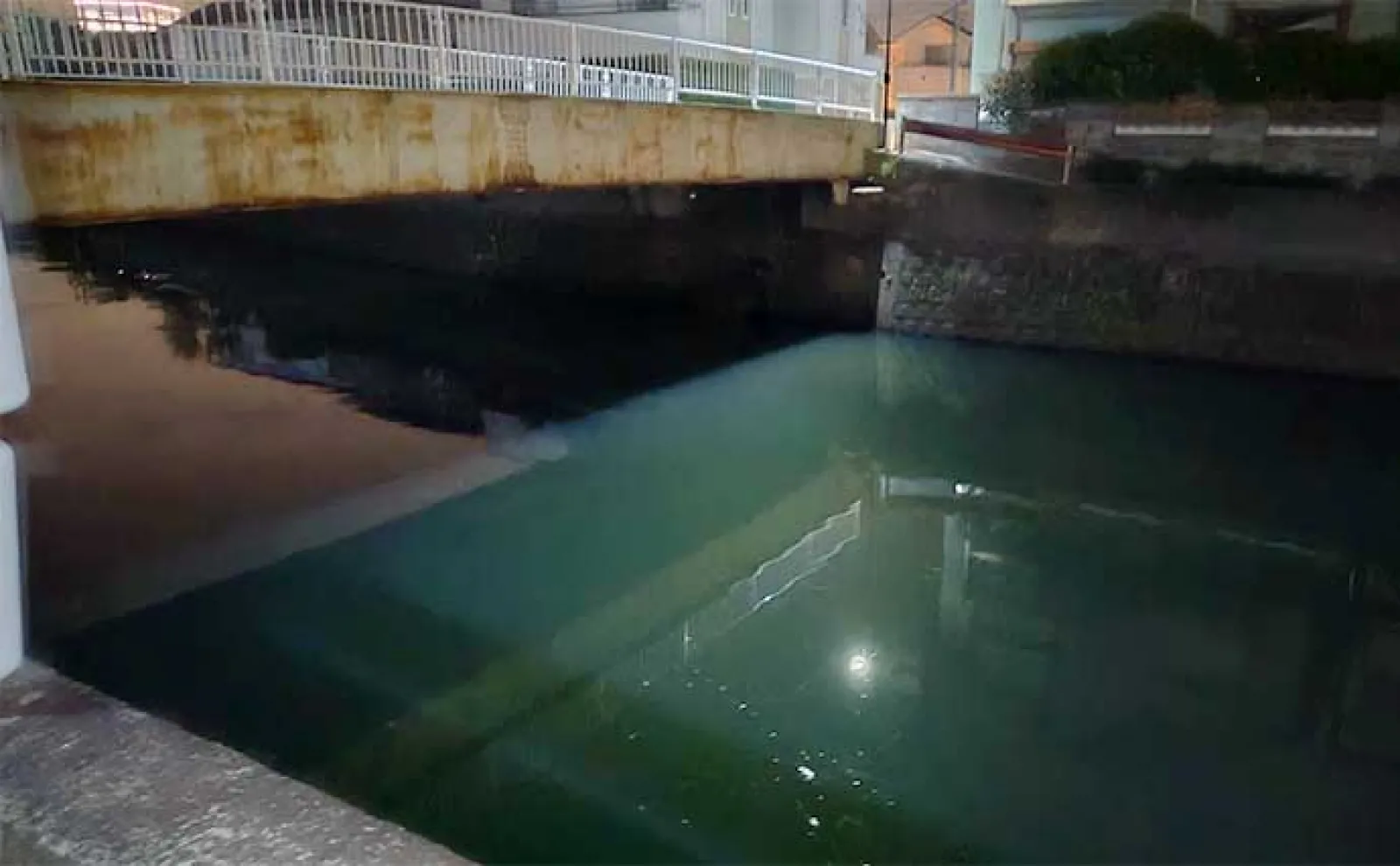 【巻かない・誘わない・何もしない】ルアーシーバス釣りの奥の手「流す釣り」を解説