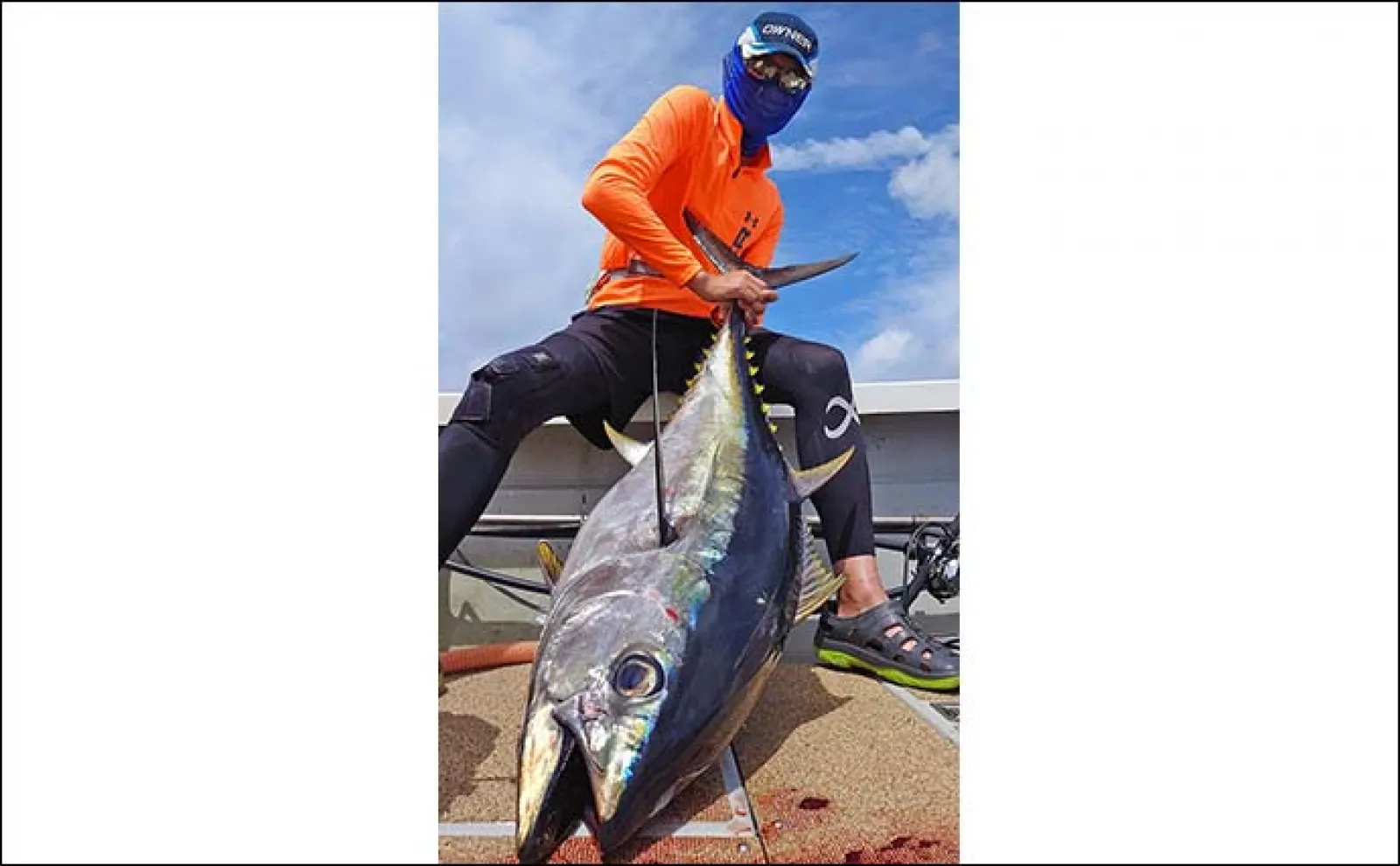 志摩沖パヤオジギング釣行で30kg超えメバチマグロ3匹キャッチ【三重】