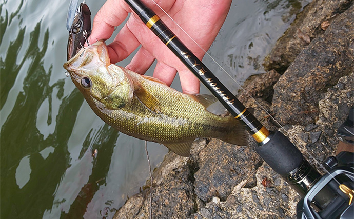 野池のお手軽バス釣りで連発【三重・伊賀】バイブレーションルアーが