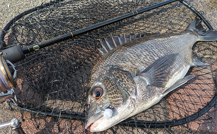 cd0e1aa1047f6ac94bc4d32ee073f0