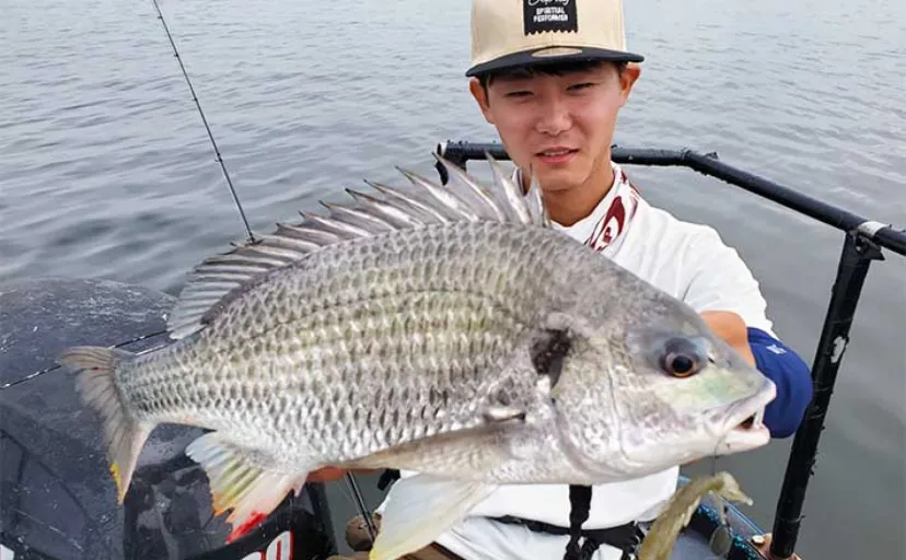 東京湾ボートチニング釣行で50cm超え頭に釣る人クロダイ8尾【林遊船】
