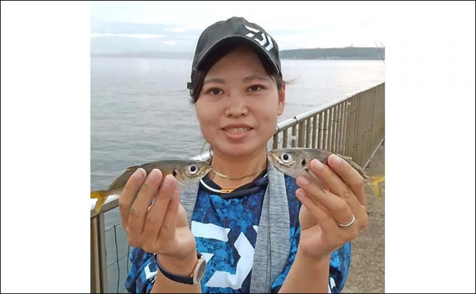 秘蔵 芳賀故城　コイの釣り方　シカケ・ポイント・釣技のすべて　金園社 秘蔵 芳賀故城 コイの釣り方 シカケ・ポイント・釣技のすべて 金園社