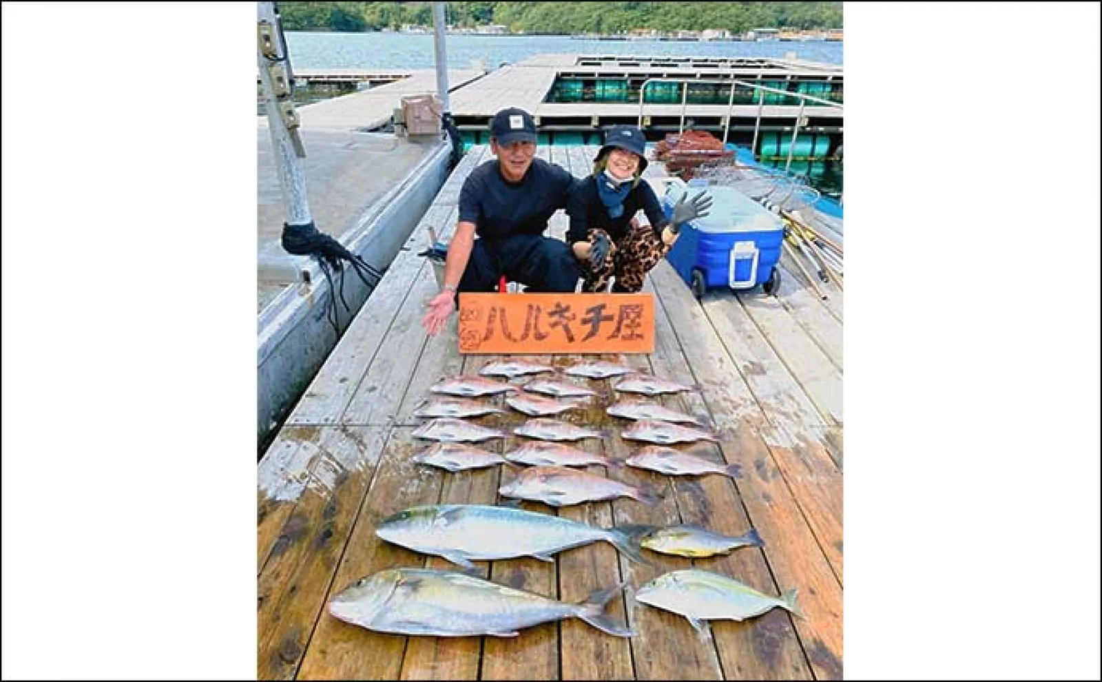 【釣果速報】海上釣り堀でカンパチにイサキにマダイと好土産ゲット(三重・愛知)