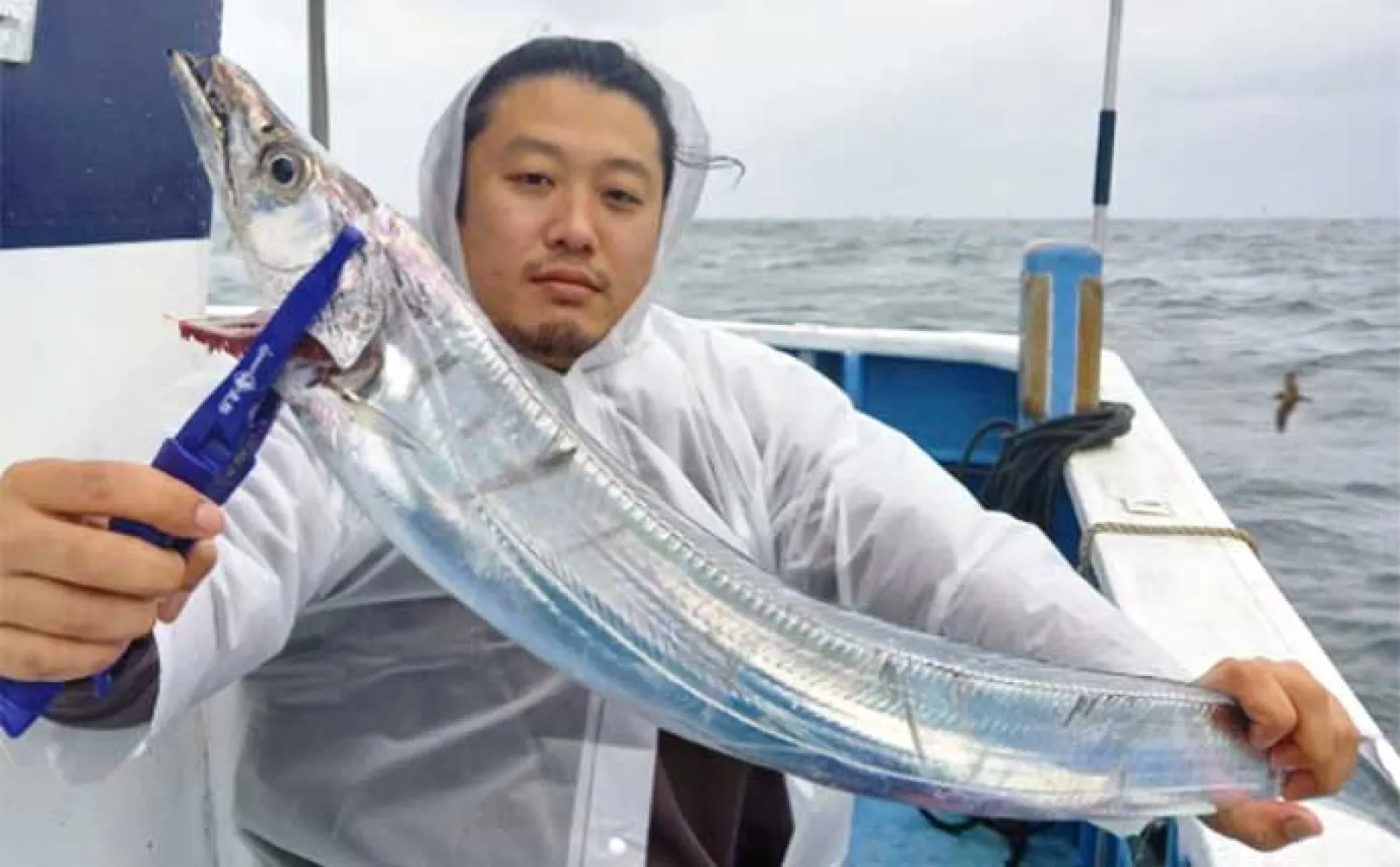 【釣果速報】キャスティング釣行でメーター超えサワラ浮上(三重)