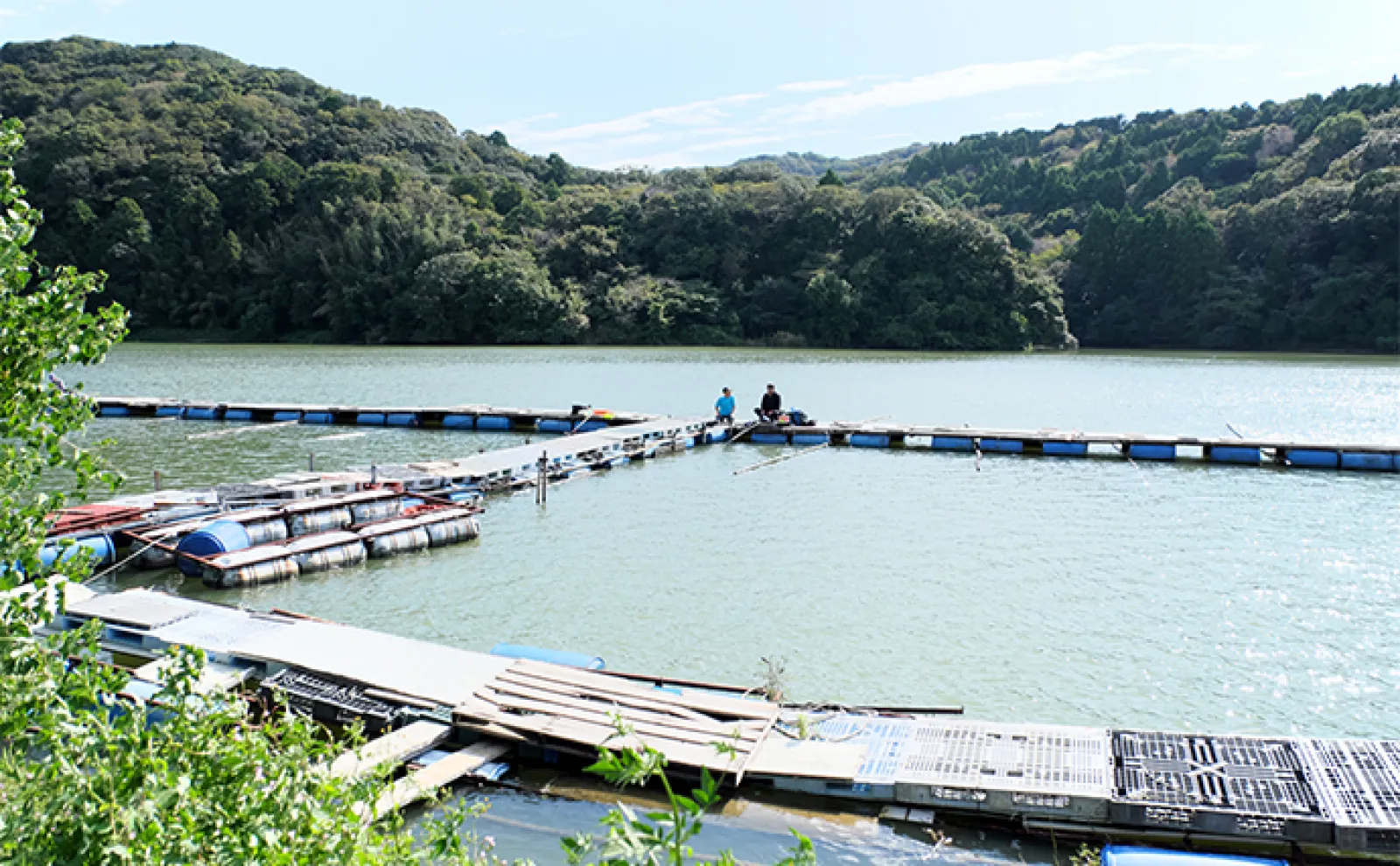 今週のヘラブナ推薦釣り場2023【静岡・西大谷池】