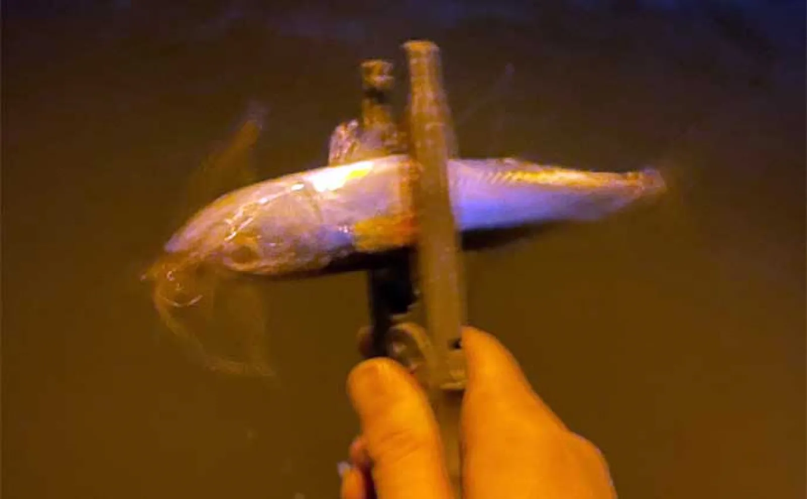 波止でのサバ(鯖)ゲーム釣行を満喫 日中はジグサビキで夜はワームでキャッチ