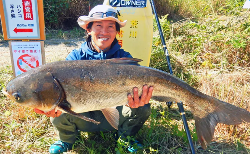 荒川でのウキ釣りで97cm・10kgのハクレン手中【埼玉】温排水エリアで狙い撃ち