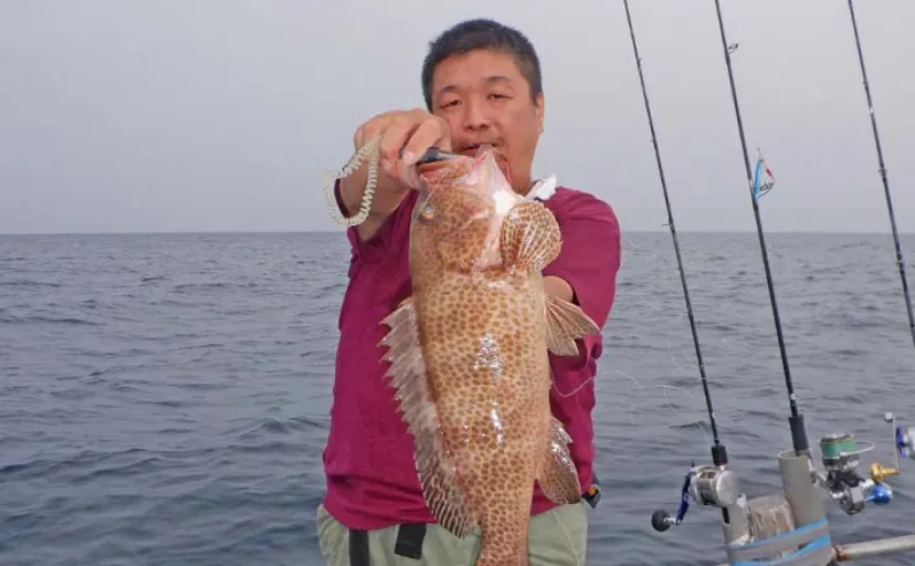 オフショアジギングでイナダ連発にオオモンハタも顔出し【三重・彦丸】
