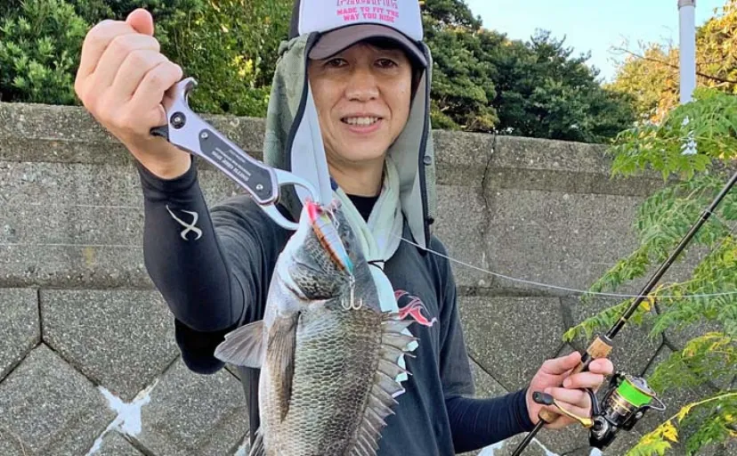 奥浜名湖でのトップウォータープラグ釣行で30cm級クロダイ好捕【静岡】