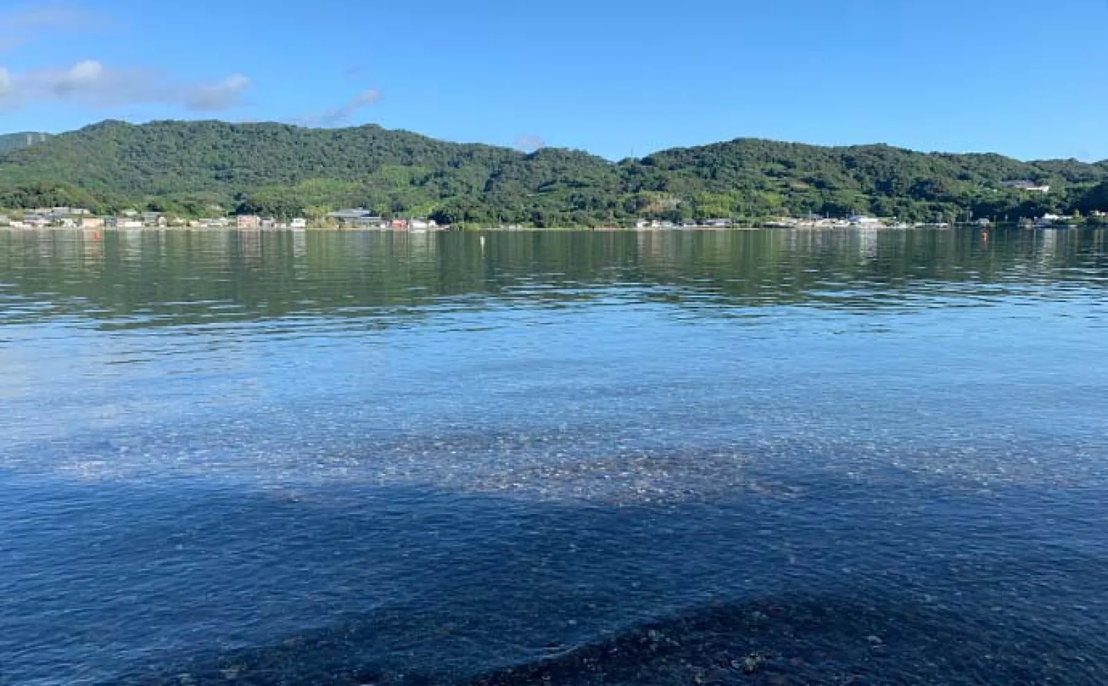 奥浜名湖でのトップウォータープラグ釣行で30cm級クロダイ好捕【静岡】