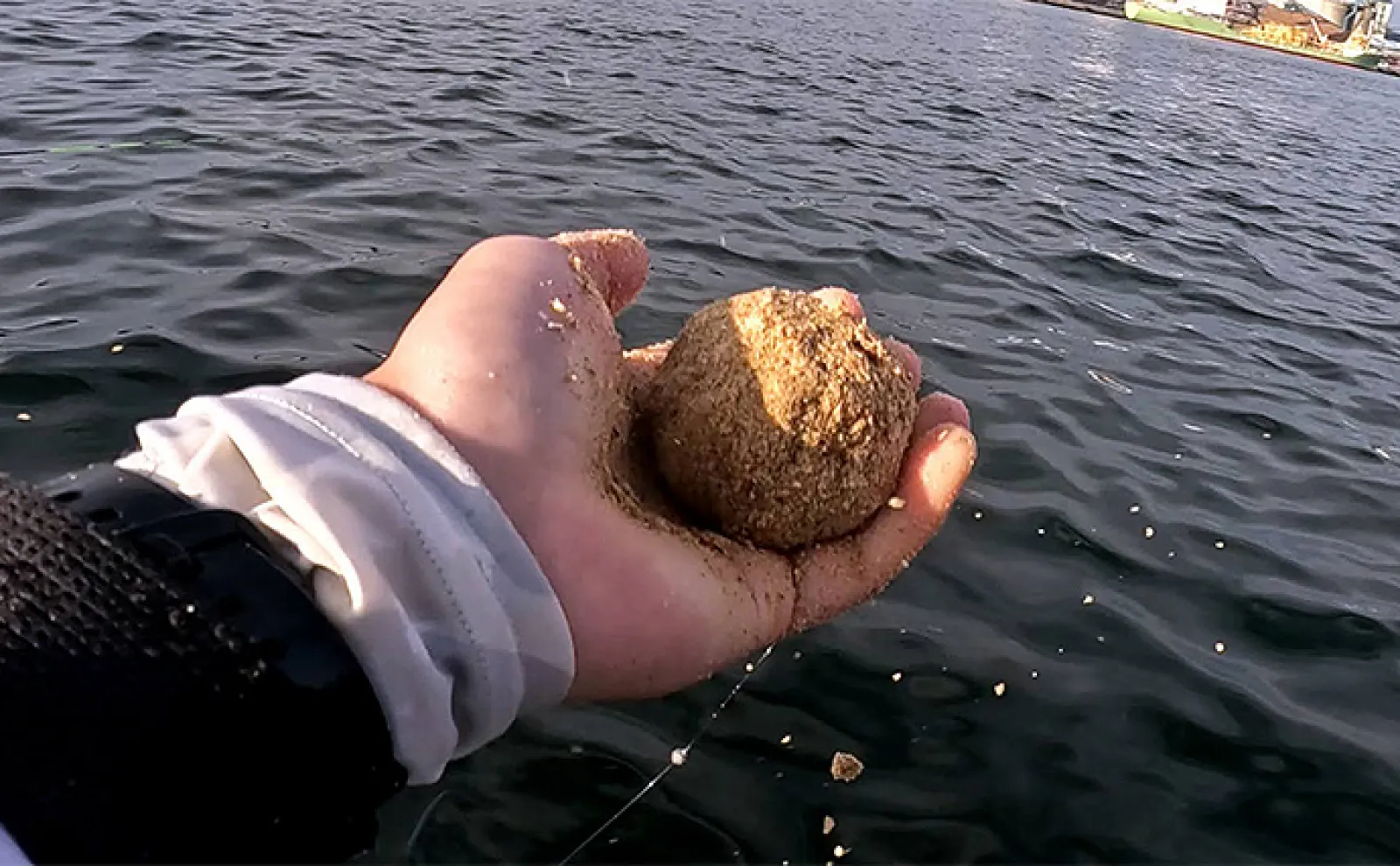 清水港のカセ釣りでクロダイ&キビレが連発【静岡】広角釣法が的中