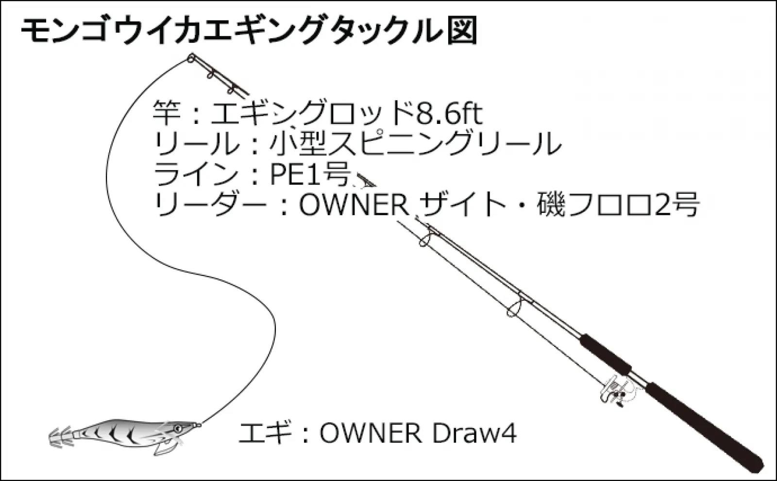 堤防エギング釣行で500g頭にモンゴウイカ全員安打【熊本】長めのステイが奏功