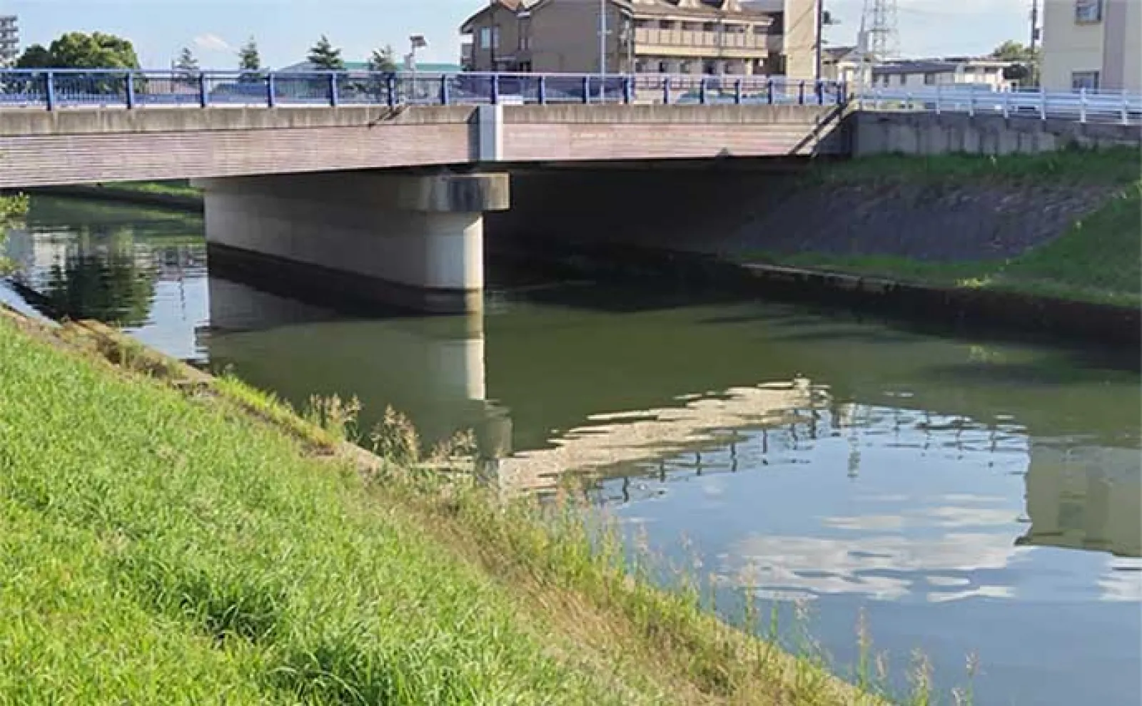 村田川のルアーシーバス釣行で本命連打【千葉】潮回りと流れの有無がキモ