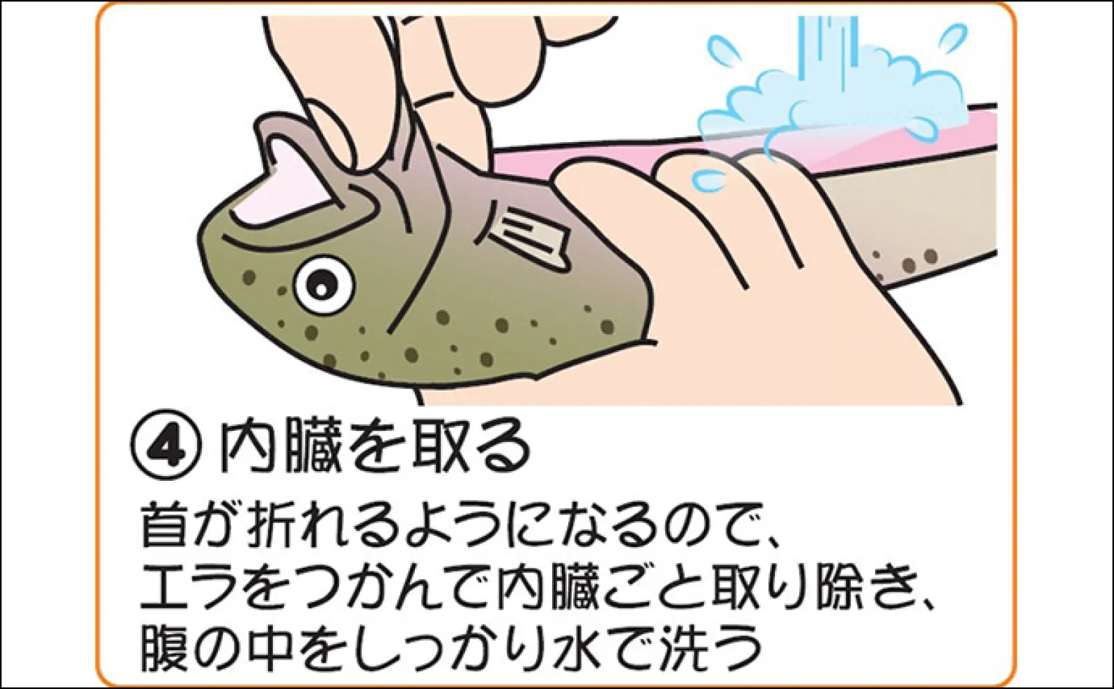釣ったニジマスの持ち帰り方【6つのステップ】 神経締めや血抜きは必要?