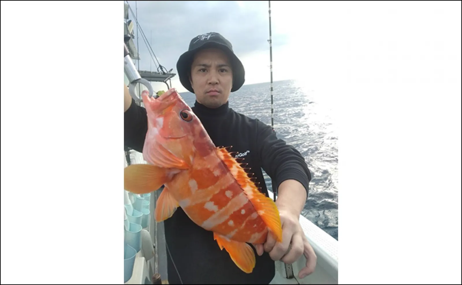 【釣果速報】ドリームジャンボ!33.94kg超大型ヒラマサ浮上(福岡)