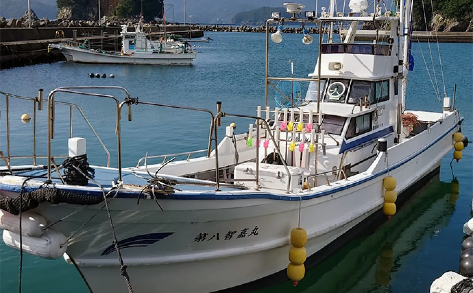 聖地「五ヶ所湾」のティップランエギング釣行で1kg級アオリイカ手中【三重】