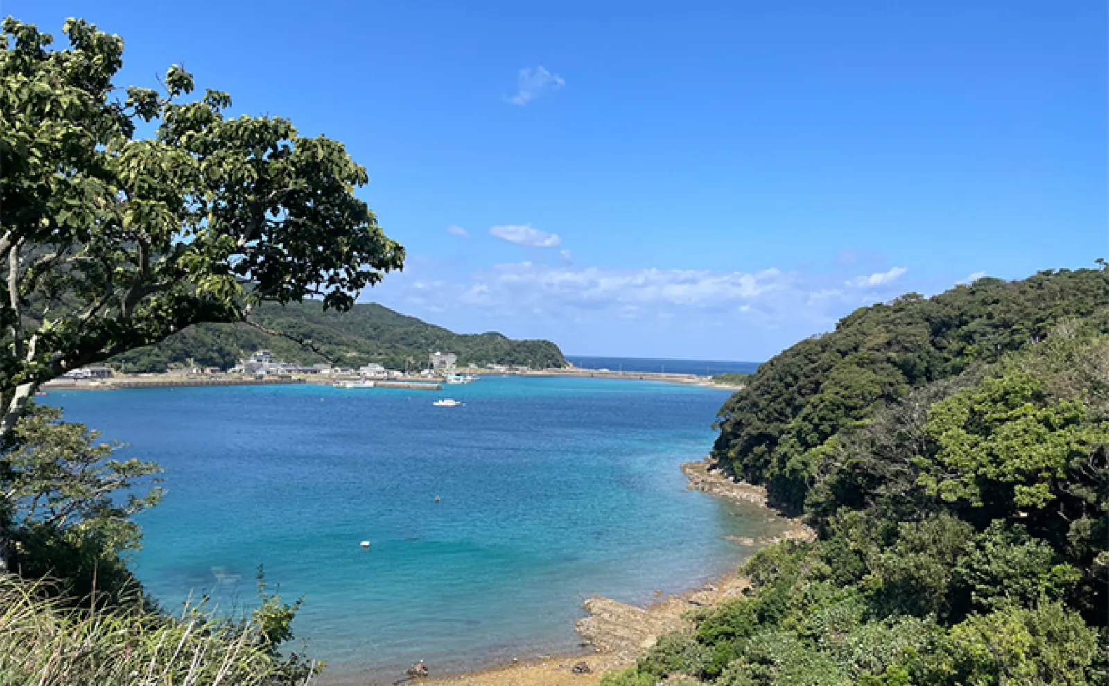 朝マヅメの1時間で700g頭にアオリイカ3杯【長崎・上五島】2つのエギ使い分けが奏功