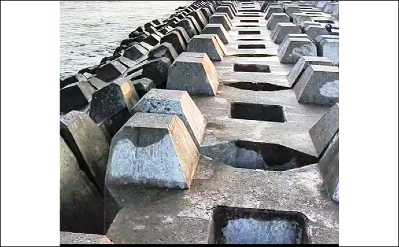 陸っぱりルアー釣りで67cmワラサを手中【青森】シンキングミノーにヒット