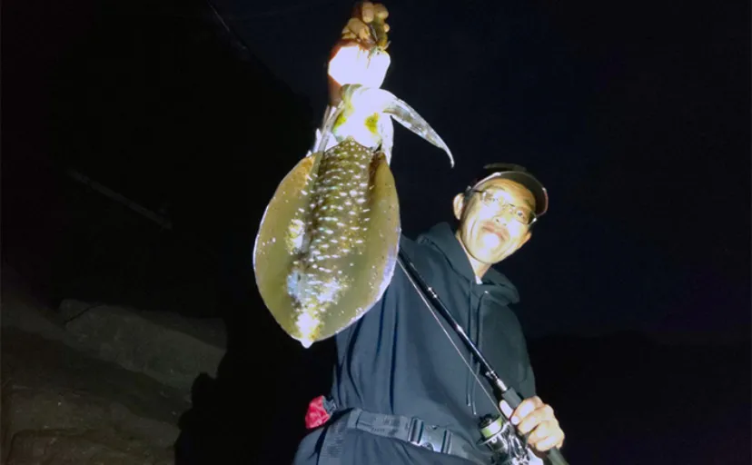 陸っぱりナイトエギング釣行で830g頭に良型アオリ3匹をキャッチ【三重】