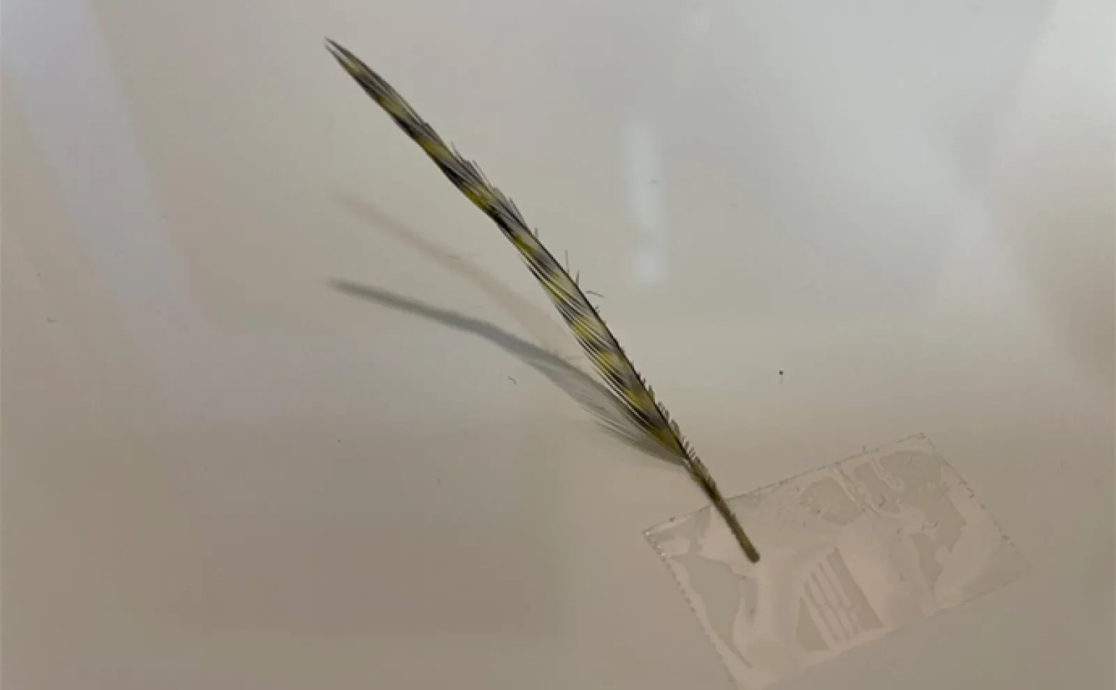 テンカラ釣りの毛鉤(けばり)の作り方 初心者でも慣れれば2~3分で作成可能