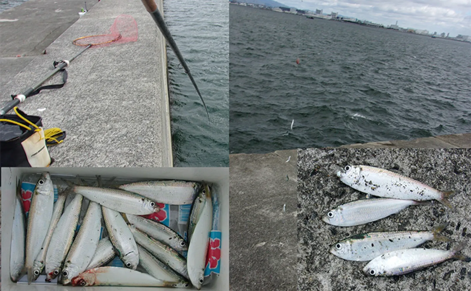 d74656f45d8df4caec27beb43fe770