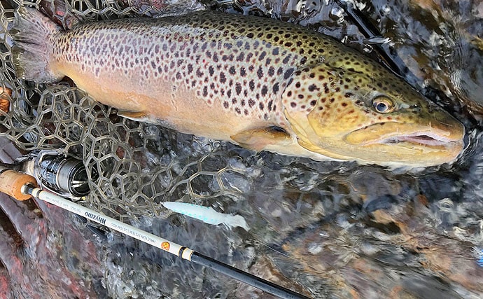 エリアトラウトフィッシングの【おすすめミノー7選】 選び方と使い方も