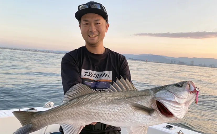 博多湾ボートシーバス釣行で70cmアップの本命　ブレード付きルアーでキャッチ