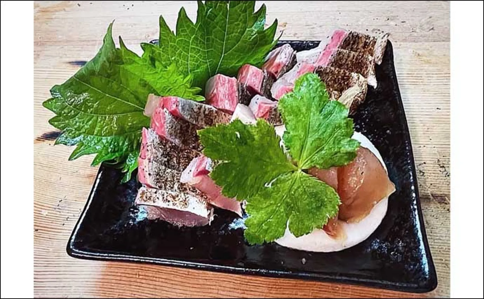 富山湾の青物ジギング釣行でサゴシにフクラギ【第二美丸】ブリサイズはお預け