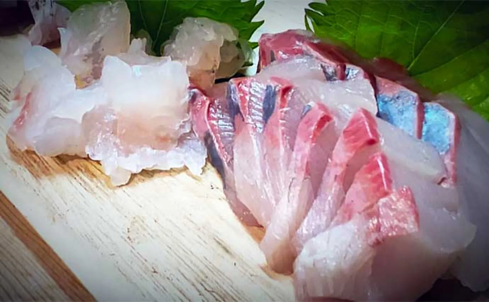 富山湾の青物ジギング釣行でサゴシにフクラギ【第二美丸】ブリサイズはお預け