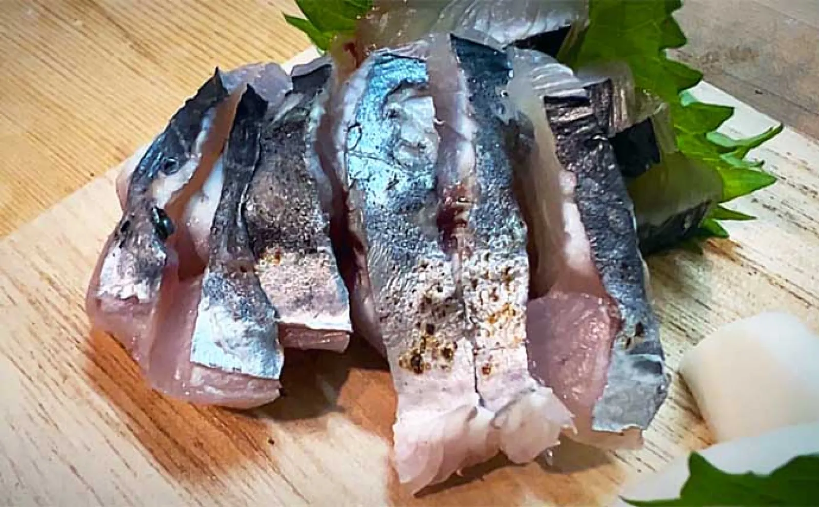 富山湾の青物ジギング釣行でサゴシにフクラギ【第二美丸】ブリサイズはお預け