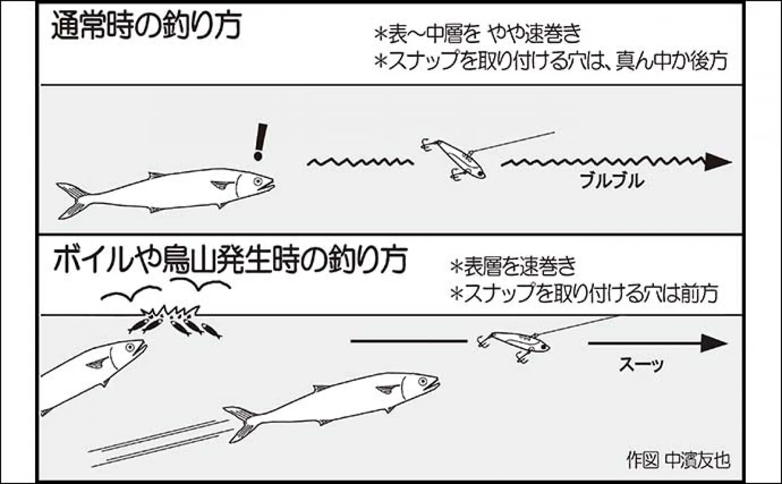 陸っぱりルアー釣りで52cm頭にサゴシ(サワラ)2尾【境水道】バイブレーションにヒット