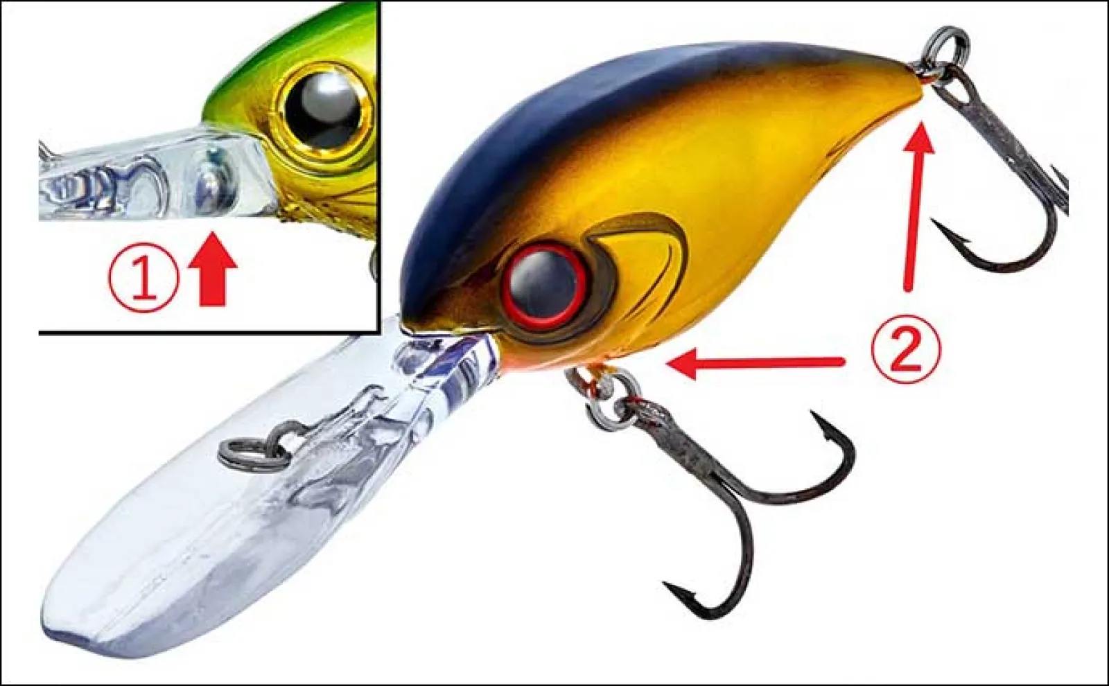 【クランクベイトで狙う根魚ゲーム】 手返し向上＆ワームで釣れない魚が釣れる！