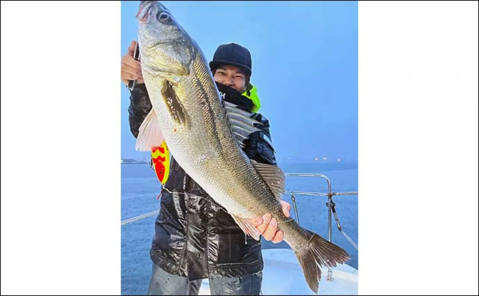 東京湾コノシロシーバス対応 尺ワン ガンクラフト 尺-ONE シーバス！！東京湾コノシロパターン攻略