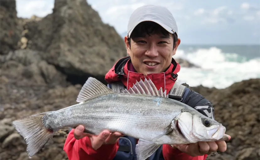 磯でのルアーシーバス釣りで50cmオーバーのヒラスズキと対面【長崎】