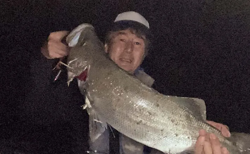 ルアーシーバス釣りで63cm本命【鹿児島・別府川】シンキングミノーにヒット