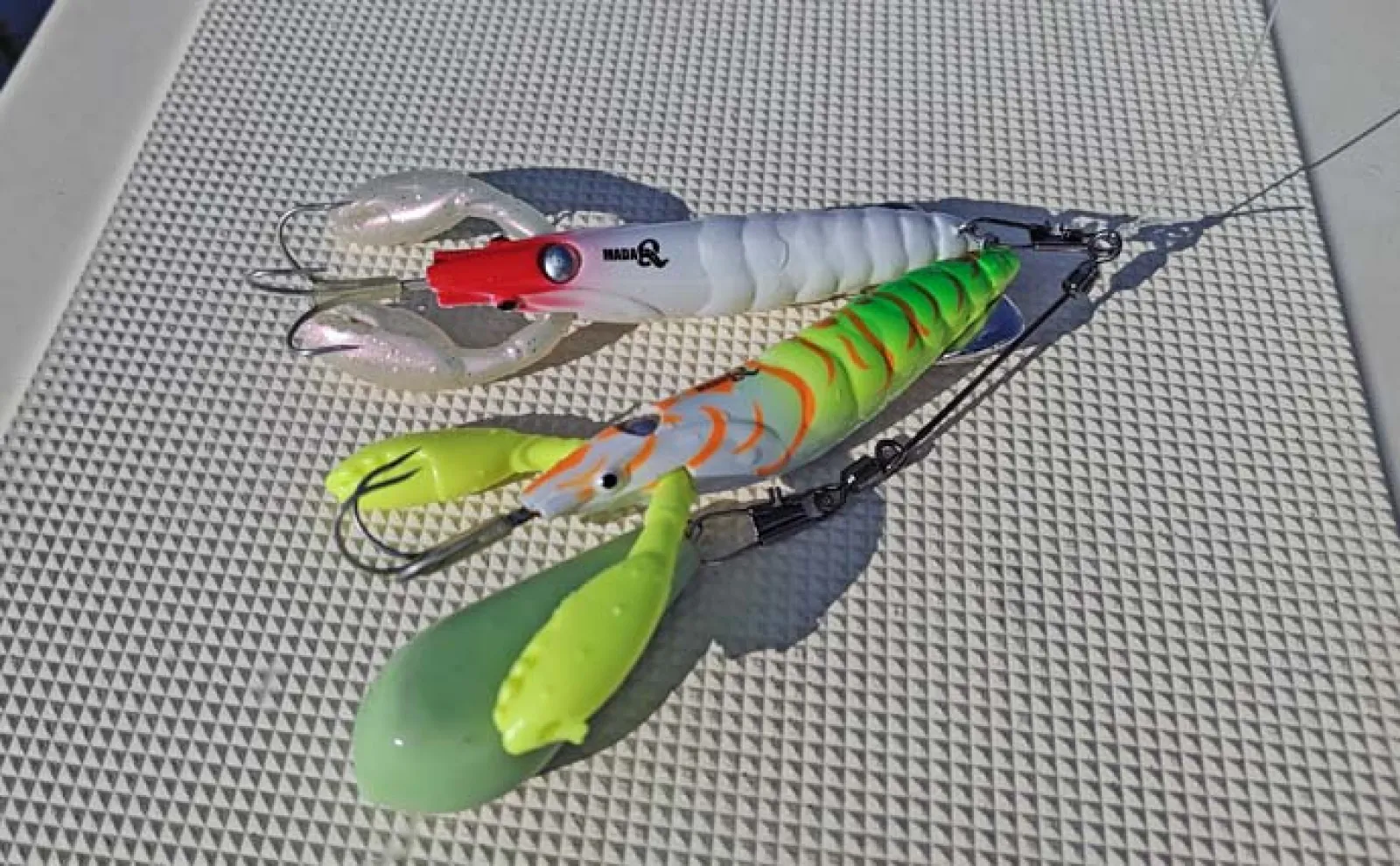 船でのエギタコ釣りで良型マダコ顔出し【愛知・玉や丸】冬は数より型狙い