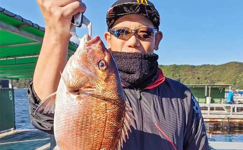 海上釣り堀貸し切り釣行でマダイにブリ好捕【三重】エサのローテーションがキモ