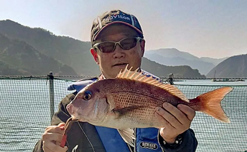 釣り仲間と海上釣り堀でマダイに青物ゲット【三重・貞丸】情報共有が決め手