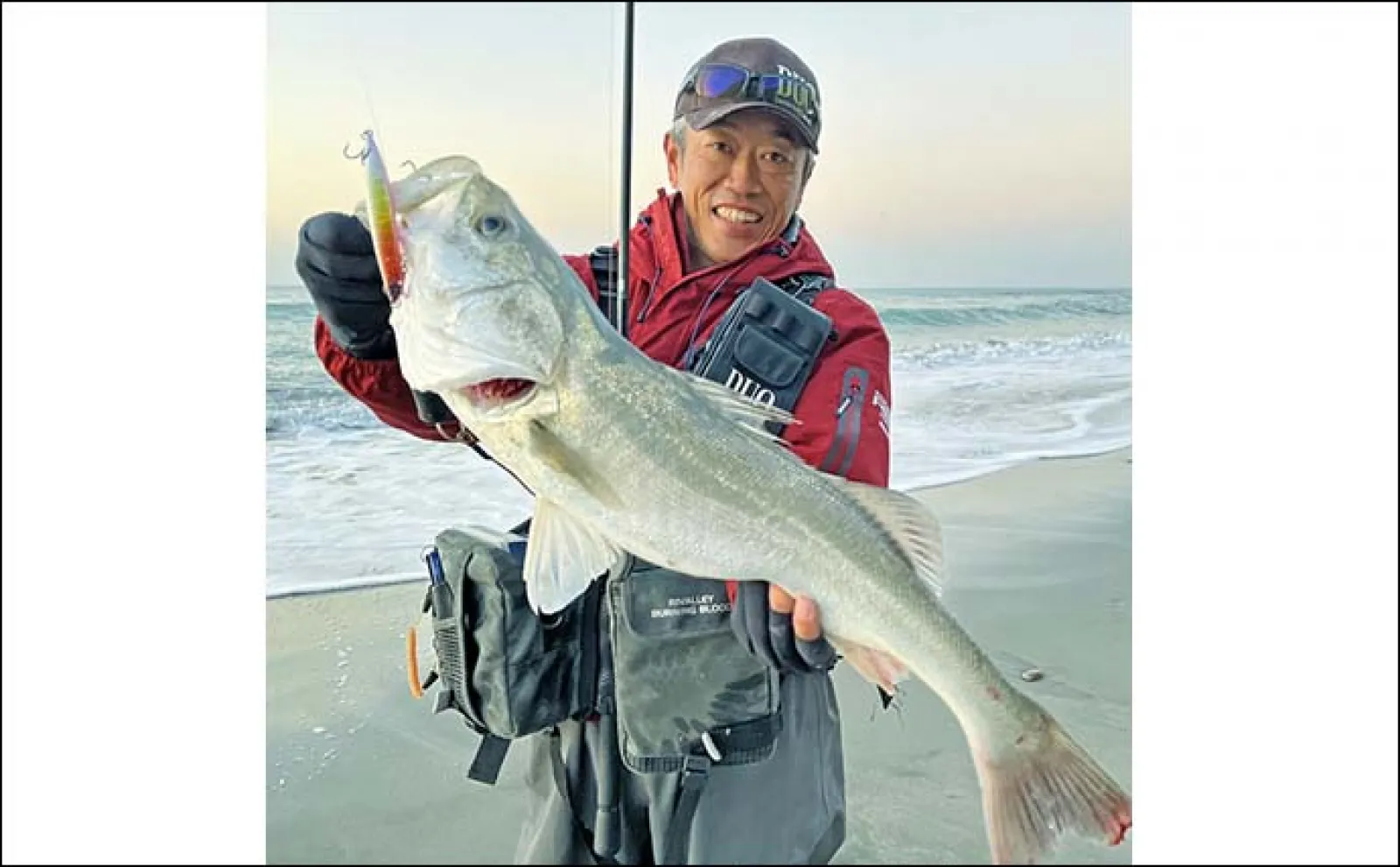 サーフルアー釣行で70cmシーバス好捕【愛知・田原】波が崩れるタイミングを狙う?