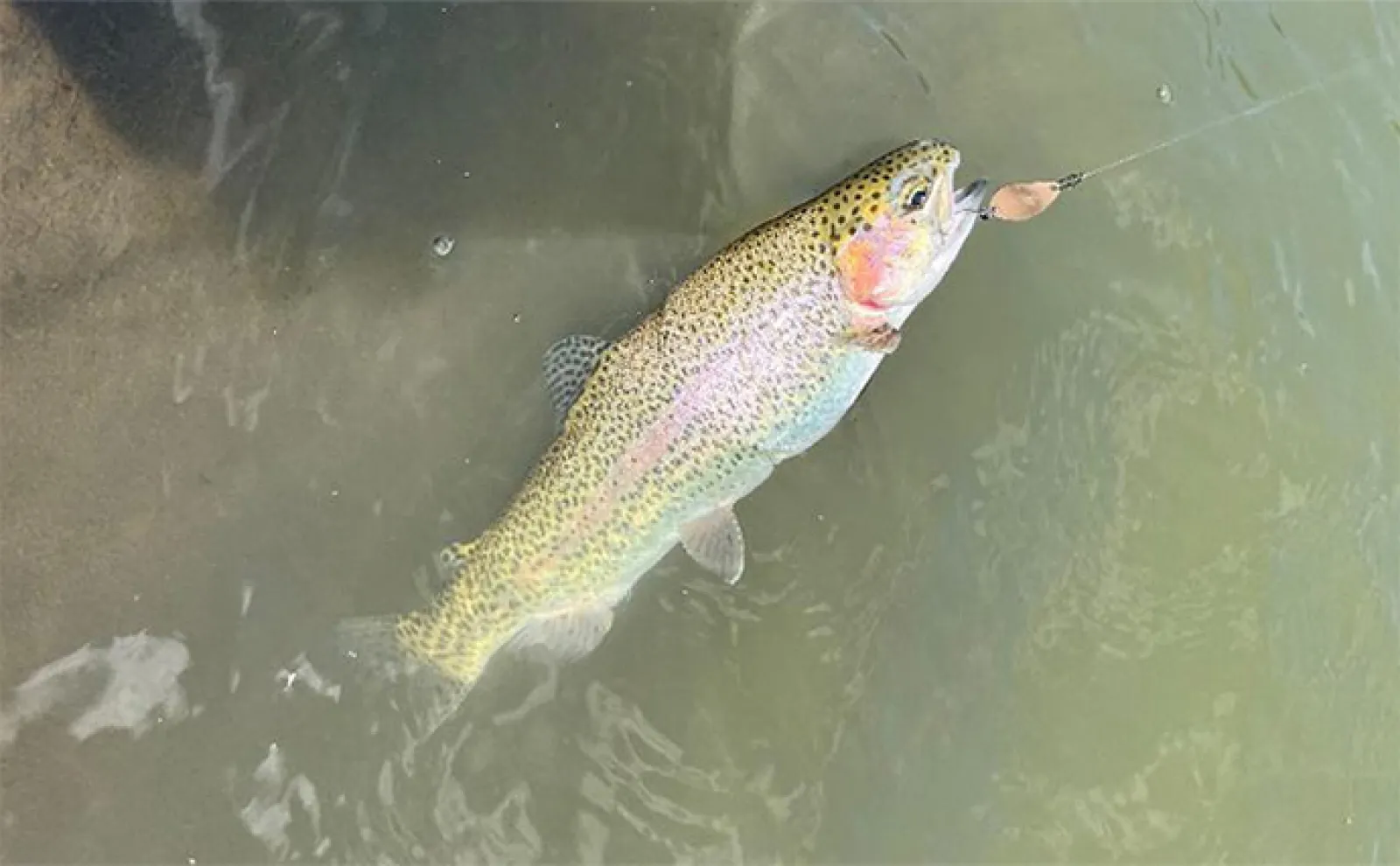 車が無くても楽しめる関西の管理釣り場4選 「電車とバスで釣りに行こう