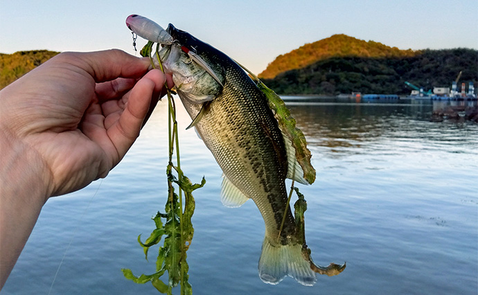 9f3d70c2a58c1a37fd62be71fceaac