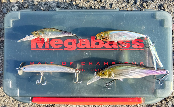 旧知の友との琵琶湖ブラックバス釣行で両者2桁釣果 アテンド大成功