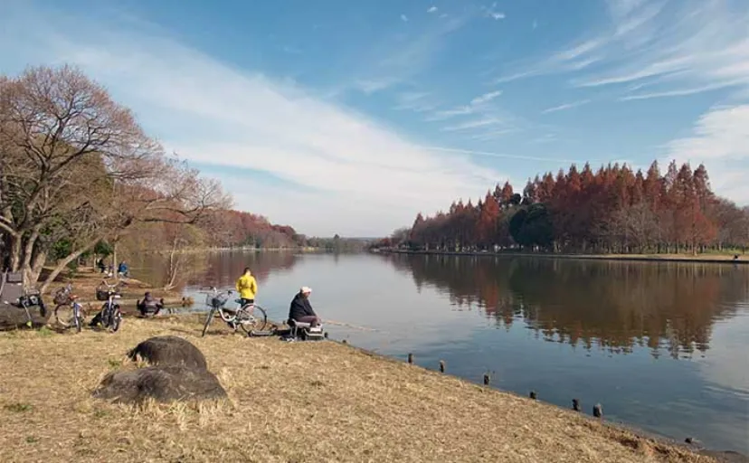 今週のヘラブナ推薦釣り場2024【東京・水元小合溜】
