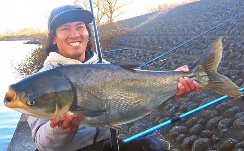 冬の2daysハクレン釣りで87cm頭に本命3尾【埼玉・荒川】温排水ポイントで手中