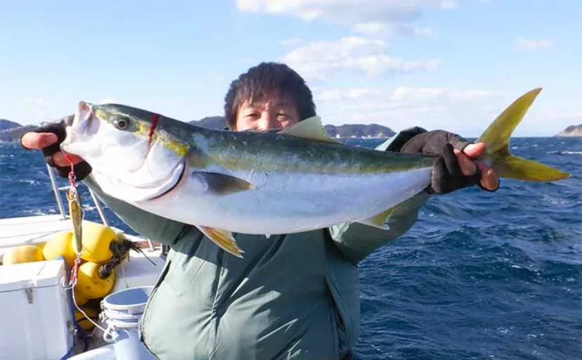 鳥羽沖の青物ジギング釣行でワラサ好捕【KAIEIMARU】控えめアクションが吉