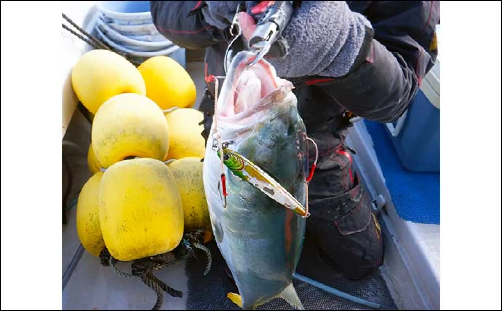 鳥羽沖の青物ジギング釣行でワラサ好捕【KAIEIMARU】控えめアクションが吉 | アウトドア | カーライフ・カー用品サイトMOBILA（モビラ）